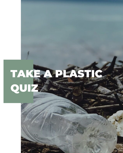 Plastic Quiz Banner